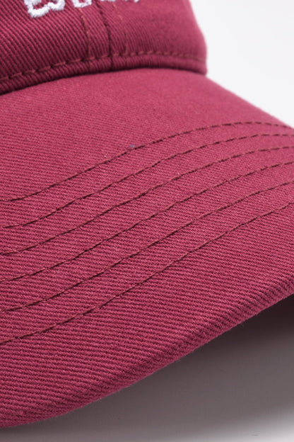 baseball pet rood zoom